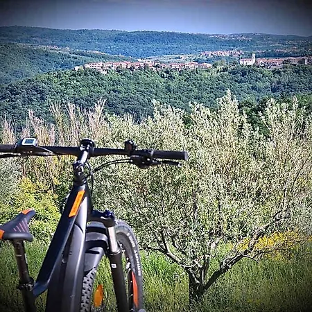 Stara Sola - Oleander Izola